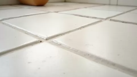 Jaka szerokość fugi do gresu 60x60