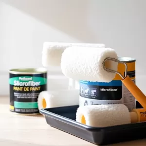 Jaki wałek do farby silikonowej